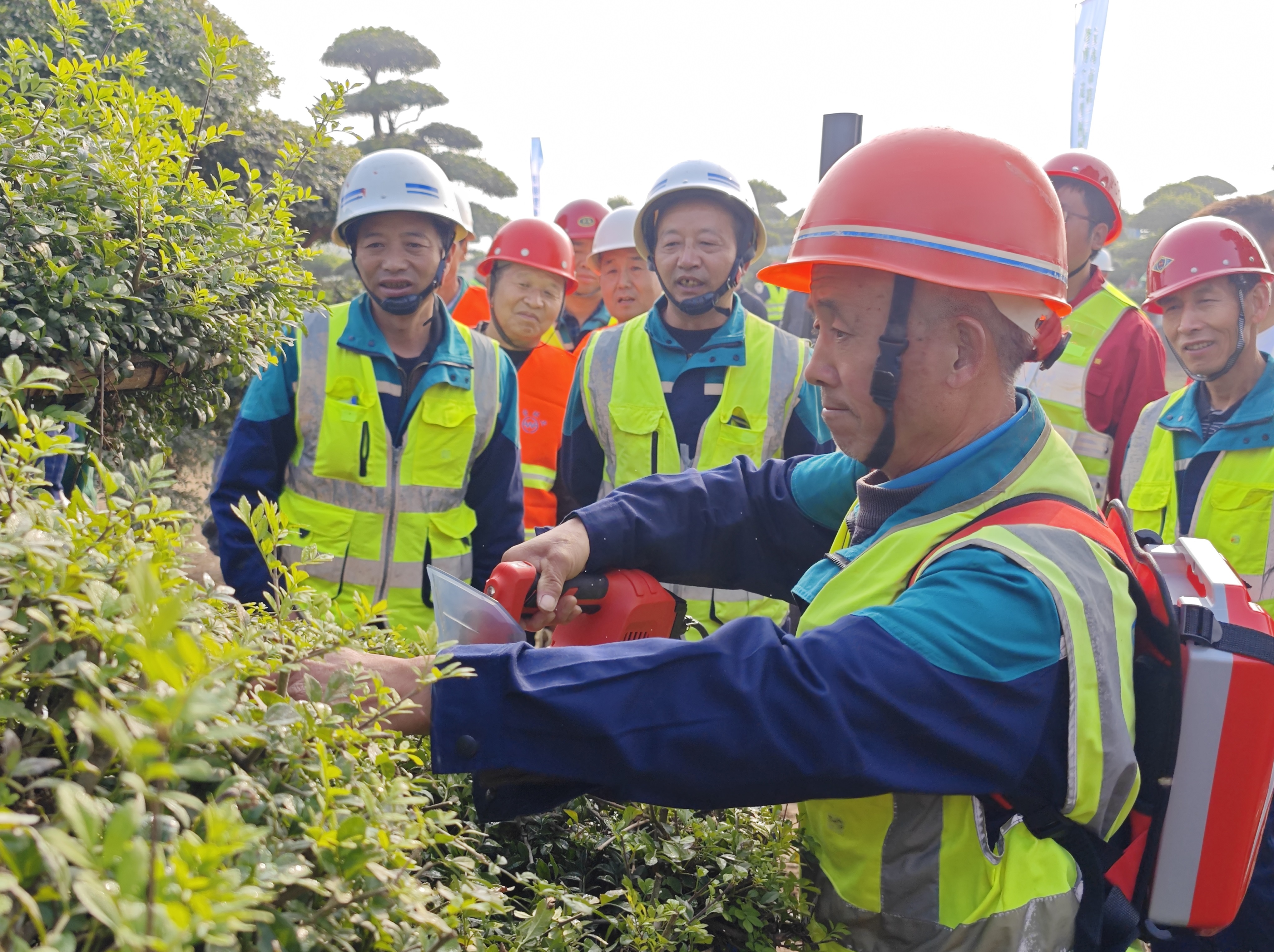 園林“老把式”的“新技能”——寶雞市第二屆園林綠化工修剪（植物造型）技能競(jìng)賽在蟠...